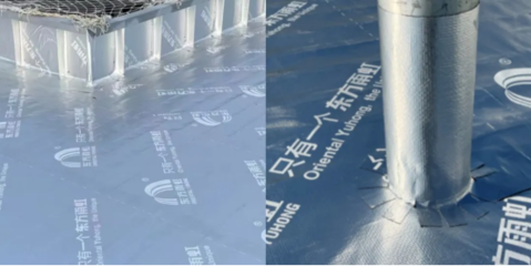 東方雨虹再獲金禹獎(jiǎng),攜手寶馬續(xù)寫合作新篇章